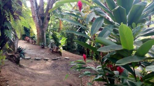 Lodge Chal� Casa S�tio Arraial