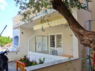 Apartments Ruza