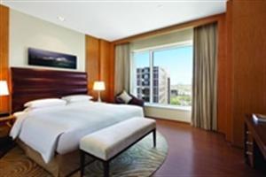 Hotel Hyatt Regency Pune
