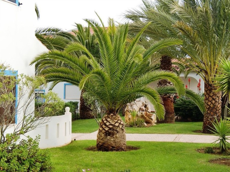 Hotel Ponta Grande Carvoeiro