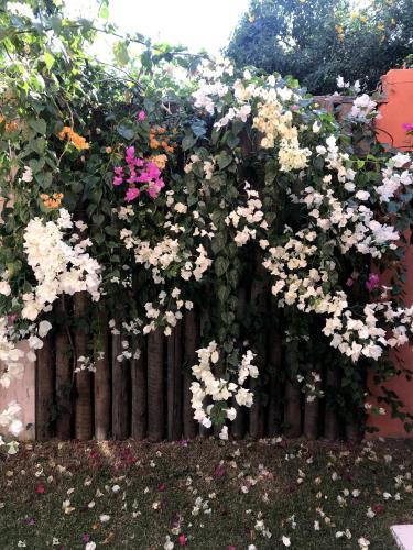 Bela Casa Em B�zios - Rj