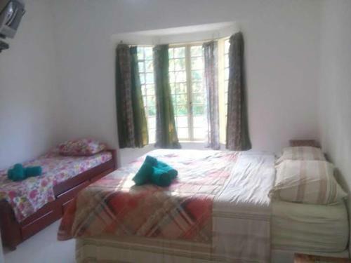 Albergue Sitio Girassol