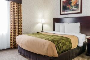 Hotel Econo Lodge & Suites