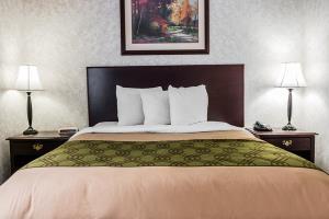Hotel Econo Lodge & Suites