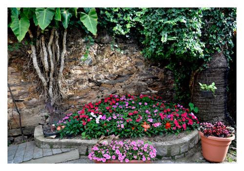 Bed & Breakfast Casa D'aurora
