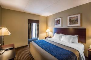 Hotel Comfort Inn