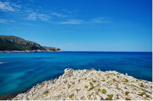 Hotel Bosc De Mar