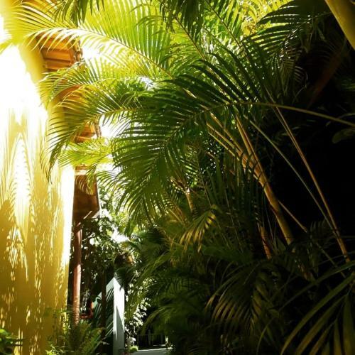 Hostal Pousada Corais Do Sul