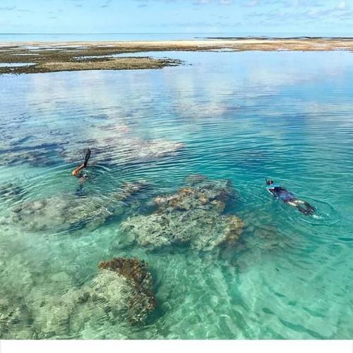 Albergue Abrolhos Dive Inn