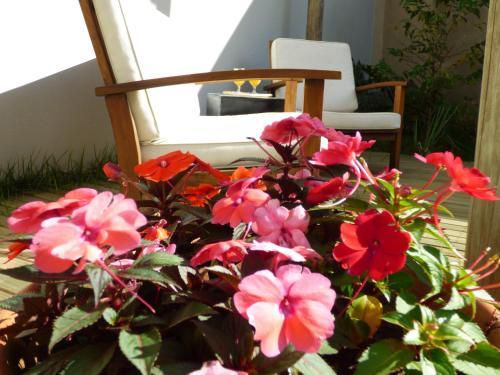 Hostal Feliccit� Pousada