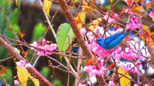 Lodge Casa Terras De Sananda