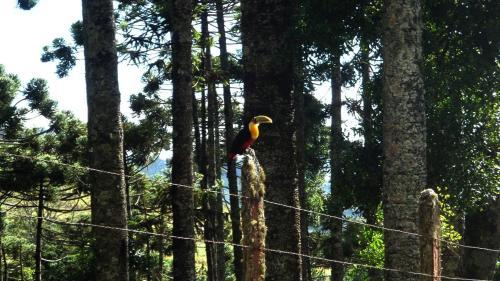 Ref�gio Da Pedra, Casa Na Montanha