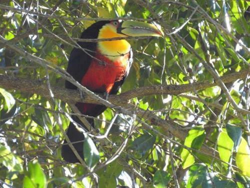 Lodge Chal� Recanto Do Sossego