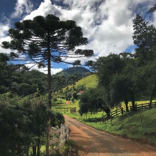 Lodge Bossa Na Ro�a