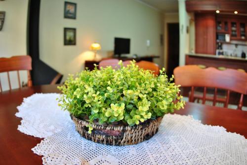 Apartamento San Pietro - 029