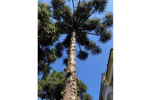 Apartamento Ensolarado 2d - Centro De Gramado