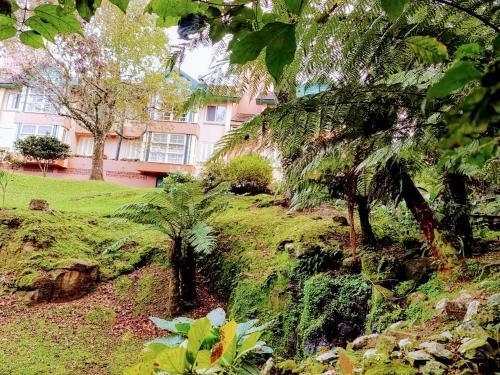 Apartamento Loft Aconchegante Dois Quartos Em Gramado