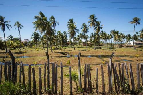 Casa De Praia Mico Le�o