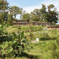 Hotel Arenal Vista Lodge