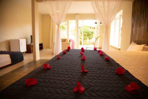 Hostal Pousada Vila Sagui