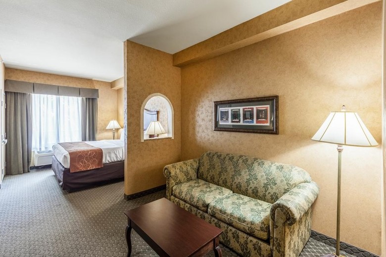 Hotel Comfort Suites Alamo/riverwalk
