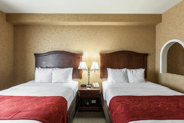 Hotel Comfort Suites Alamo/riverwalk
