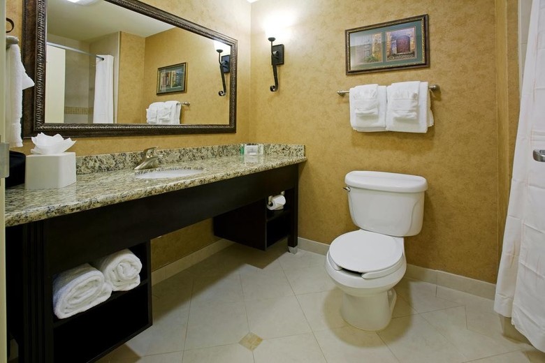 Hotel Comfort Suites Alamo/riverwalk