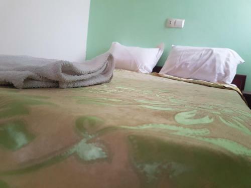 Hotel Lion D'or