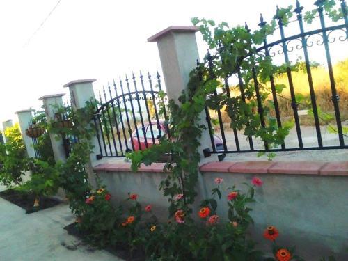 Hostal Guest House Panayotovi