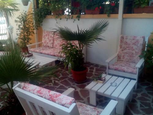 Hostal Guest House ?nestievi