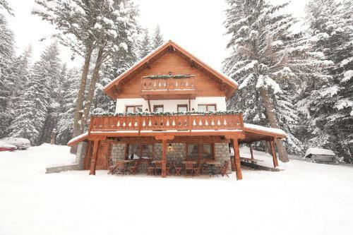 Chalet The Forest Lodge