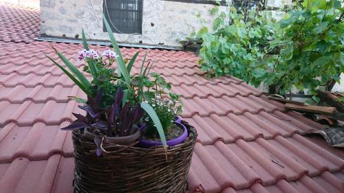 Hostal Guest House Khan Kadiata