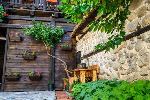 Hostal Banskovilla Zlateva House
