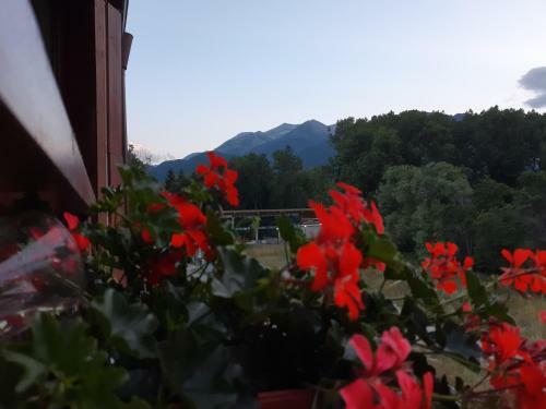 Petroff Apartments Bansko