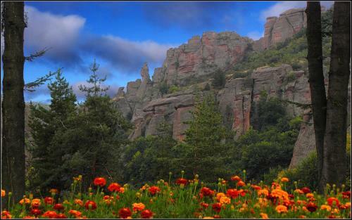 Hostal Castle Cottage Bed & Breakfast