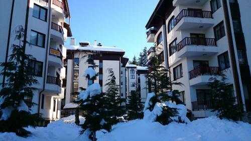 Tes Flora Apartments