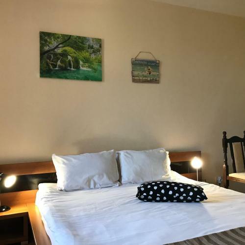 Apartamento Studio In Hotel Flora Borovets