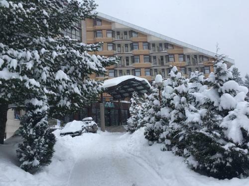 Apartamento Studio In Hotel Flora Borovets
