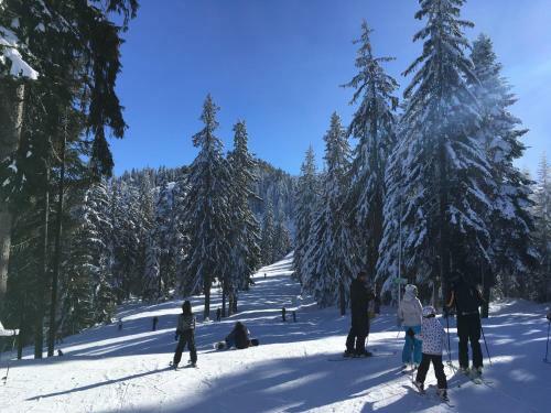 Apartamento Studio In Hotel Flora Borovets