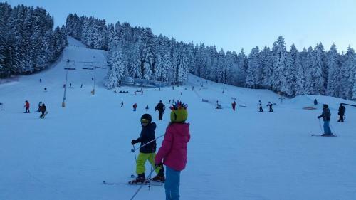 Apartamento Studio In Hotel Flora Borovets