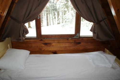 Ski Chalet Deno