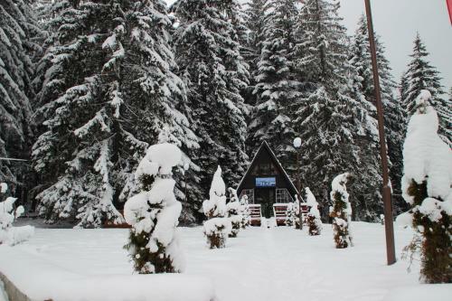 Ski Chalet Deno