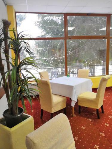 Hotel Borovets Edelweiss