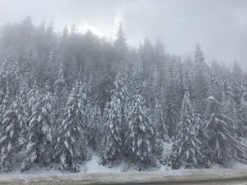 Villa Borovets Chalets