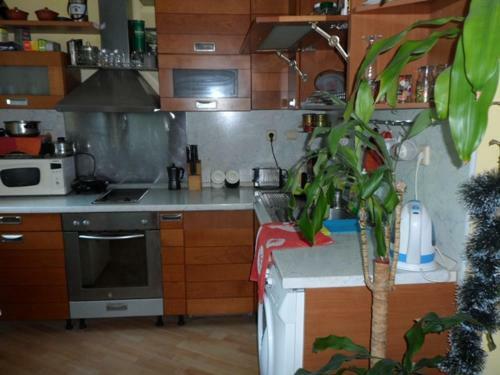 Apartment Ivan And Dilyana