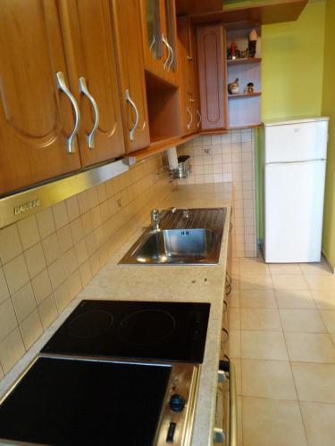 Apartment Svetlana