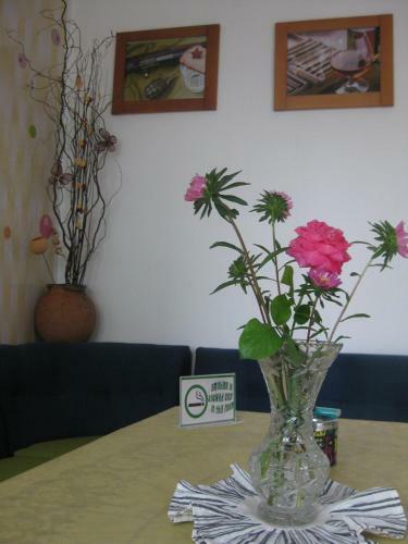 Apartment Shesti Uchastak