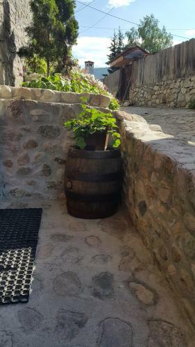 Hostal Guest House Maria