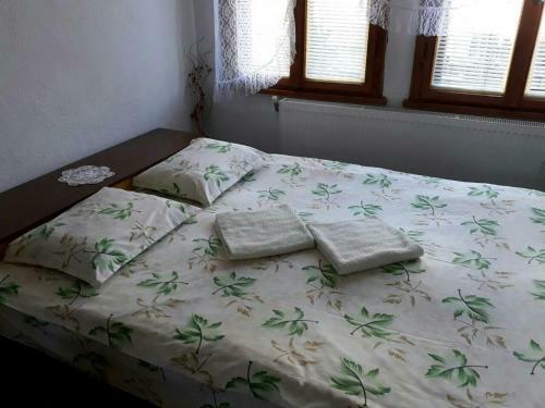 Hostal Cozy Home