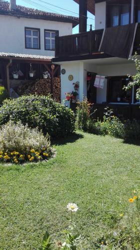 Hostal Cozy Home
